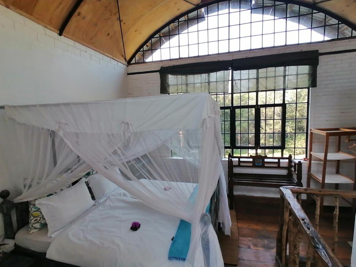 Meru House Lekisilai Аруша Екстер'єр фото
