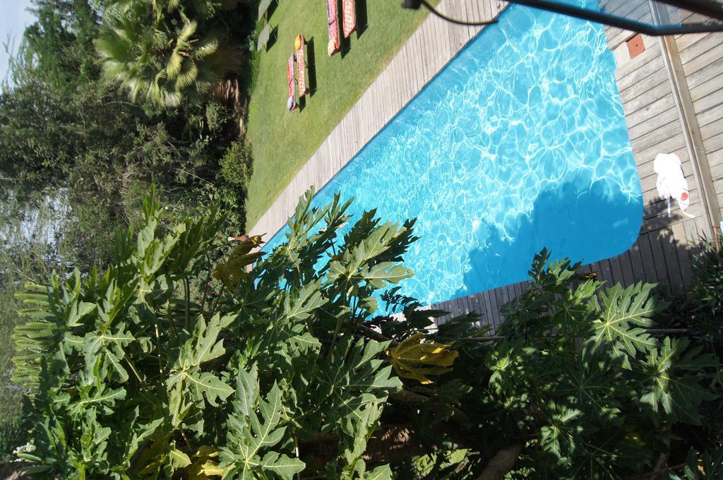 Meru House Lekisilai Аруша Екстер'єр фото